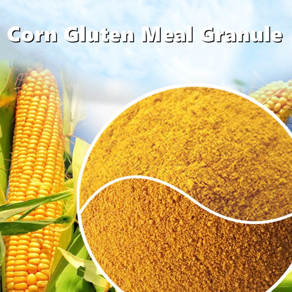 High Corn Gluten Meal/Protein Corn Meal/ 60% Corn Gluten Feed/Maize Protein Powder