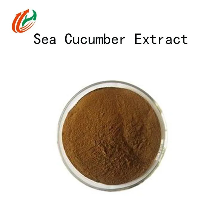Wild High-Quality Sea Cucumber Extract Improves Protein