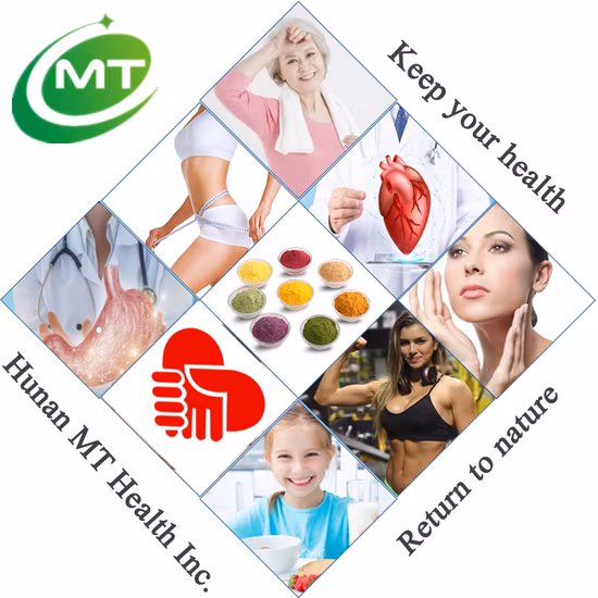 Heidelbeerfruchtpulverfabrik Heidelbeerpulver