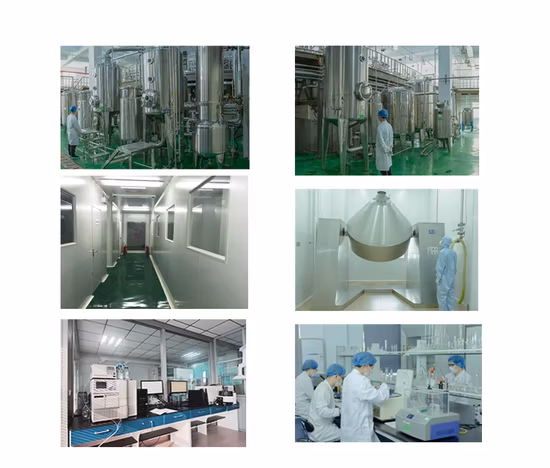 Xi an Sost Biotech Supply Fruchtextrakt Bio-OPC-Traubenkernextrakt-Pulver